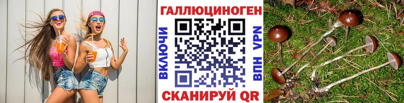 mega   Называевск  Галлюциногенные грибы ЛСД 